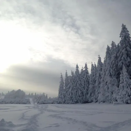 Restaurant Mont Champ Du Feu