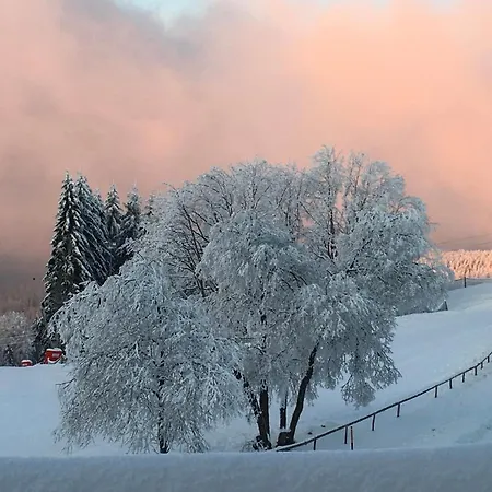 Restaurant Mont Champ Du Feu Otel 4*