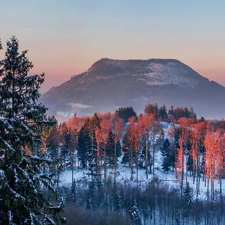 Restaurant Mont Champ Du Feu