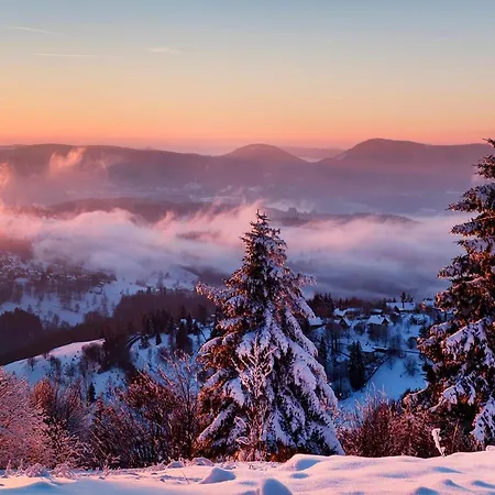 Hotel Restaurant Mont Champ Du Feu Belmont (Bas-Rhin)