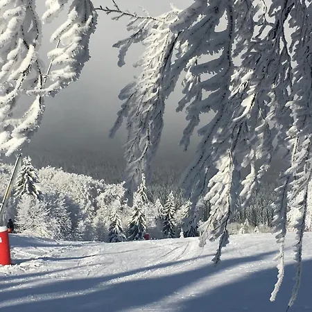 Otel Restaurant Mont Champ Du Feu Belmont (Bas-Rhin)