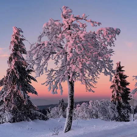 Restaurant Mont Champ Du Feu 4* Belmont (Bas-Rhin)