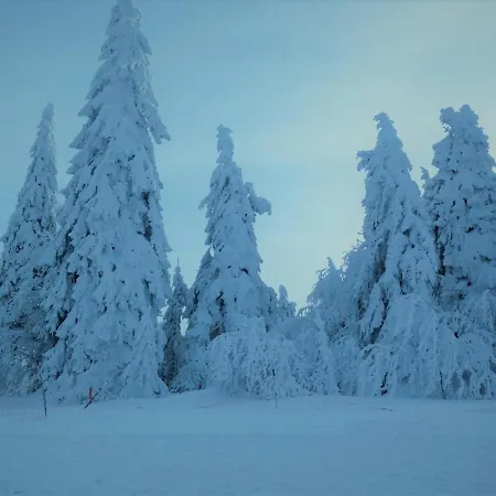 Hotel Restaurant Mont Champ Du Feu Belmont (Bas-Rhin)