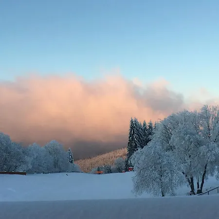 Restaurant Mont Champ Du Feu Otel Belmont (Bas-Rhin)