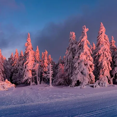 Restaurant Mont Champ Du Feu Hotel 4*