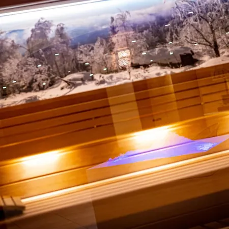 Restaurant Mont Champ Du Feu 4* Belmont (Bas-Rhin)