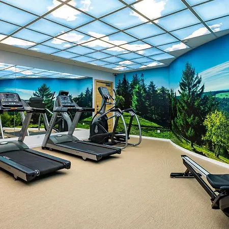 Restaurant Mont Champ Du Feu Belmont (Bas-Rhin)