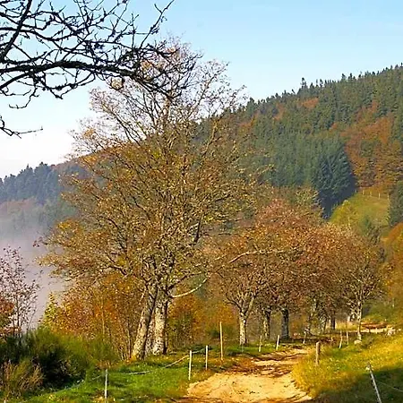 Restaurant Mont Champ Du Feu Belmont (Bas-Rhin)