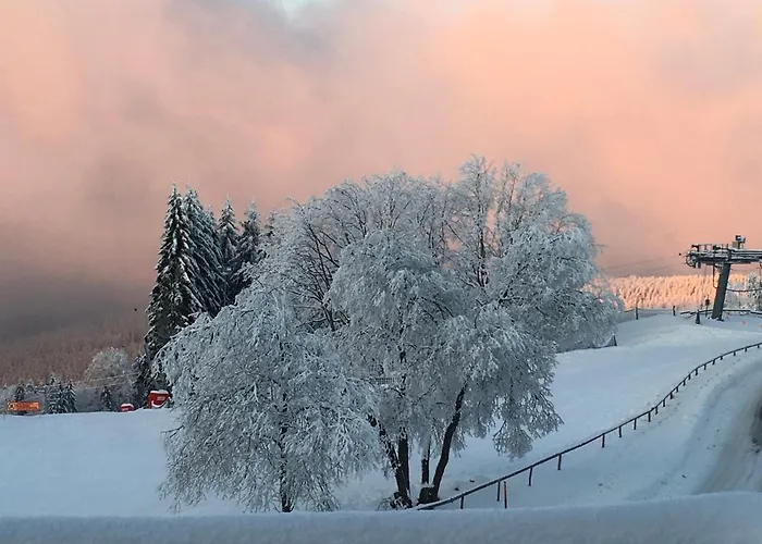 Restaurant Mont Champ Du Feu Hotel 4*