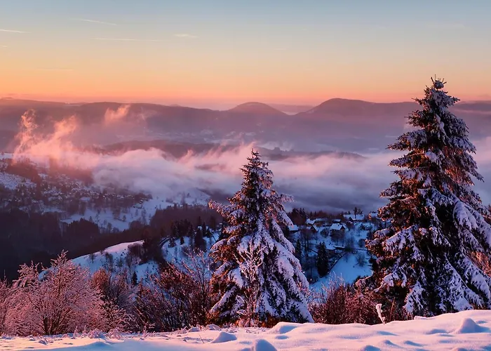 Hotel Restaurant Mont Champ Du Feu Belmont (Bas-Rhin)