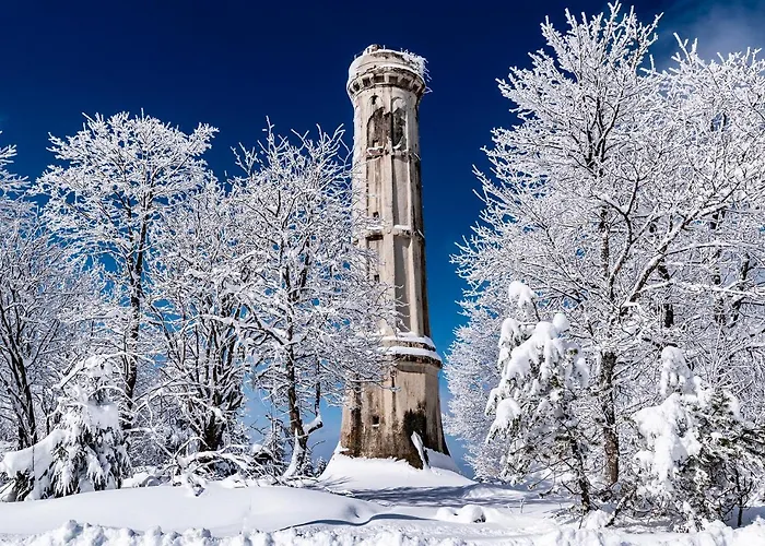 Hotel Restaurant Mont Champ Du Feu Belmont (Bas-Rhin)