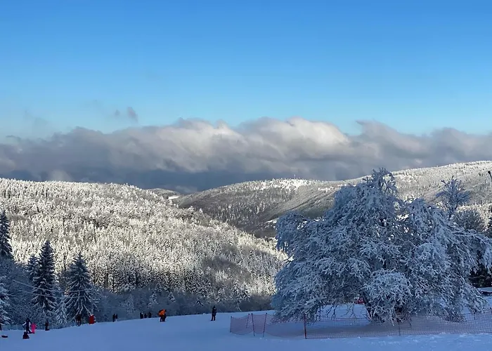Restaurant Mont Champ Du Feu Hotel