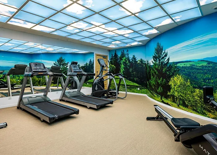 Restaurant Mont Champ Du Feu Belmont (Bas-Rhin)